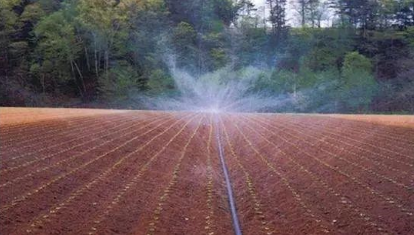 微噴灌系統每畝地造價