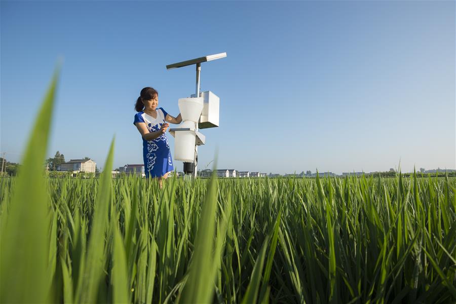 家庭農場系統 家庭農場系統