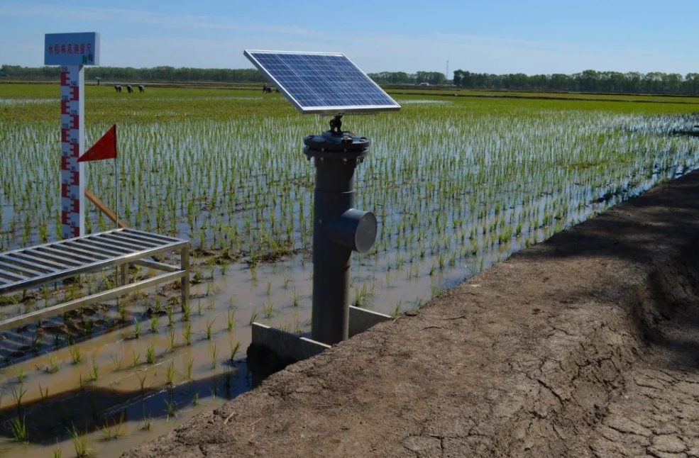 水稻灌溉管道自動控制系統(tǒng)