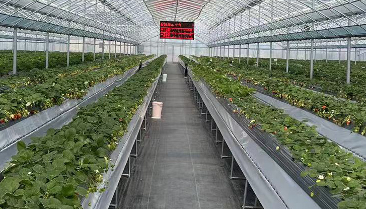 農業智慧管理平臺