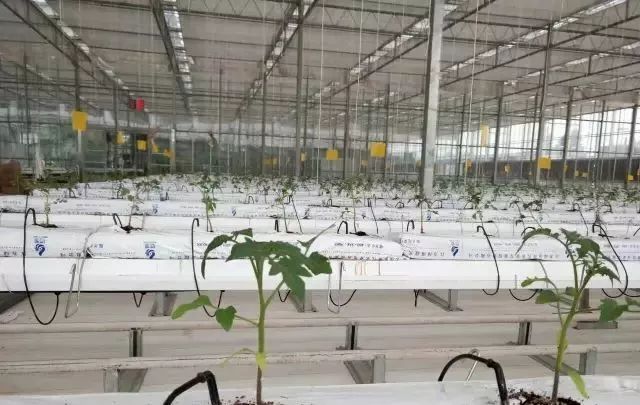 種植物聯網設備 種植物聯網設備