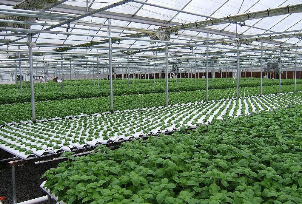 蔬菜大棚設(shè)備 蔬菜大棚設(shè)備