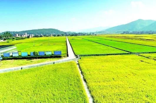 高標準農田信息化供應商