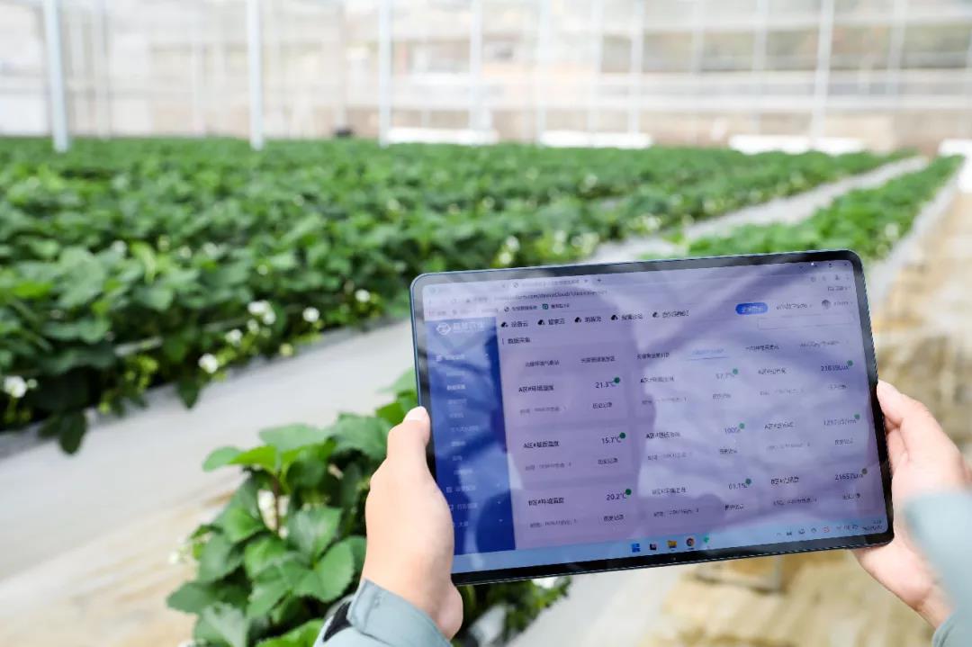 數字化智慧大棚