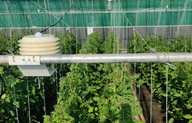 大棚監測設備