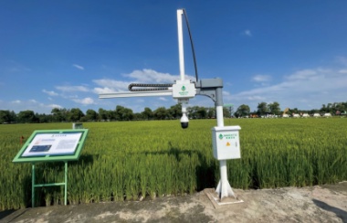 葉齡診斷機械臂