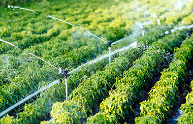 智慧農(nóng)業(yè)自動(dòng)灌溉系統(tǒng)傳感器