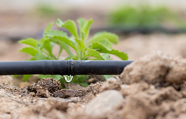 智慧農業水肥一體化管理系統