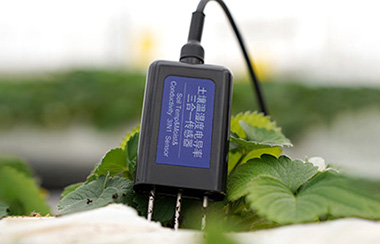 農田傳感器 農田傳感器