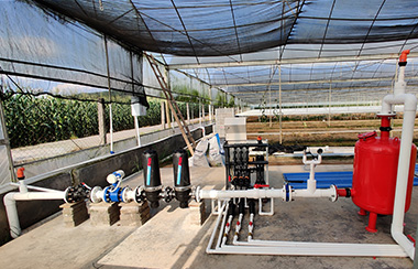 水肥一體化系統(tǒng)廠(chǎng)商